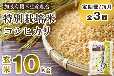 【令和7年産】【定期便3回毎月お届け】新潟県加茂市産 特別栽培米コシヒカリ 玄米10kg（5kg×2）従来品種コシヒカリ