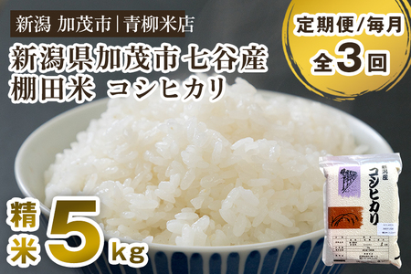 [令和6年産新米][定期便3回毎月お届け]新潟産コシヒカリ 加茂市七谷産 棚田米 精米5kg 白米 真空パック 青柳米店 定期便 定期購入 定期 新潟県産コシヒカリ 米 お米