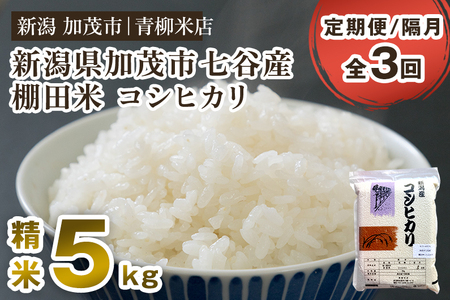 [令和6年産新米][定期便3回隔月お届け]新潟産コシヒカリ 加茂市七谷産 棚田米 精米5kg 白米 真空パック 青柳米店 定期便 定期購入 定期 新潟県産コシヒカリ 米 お米