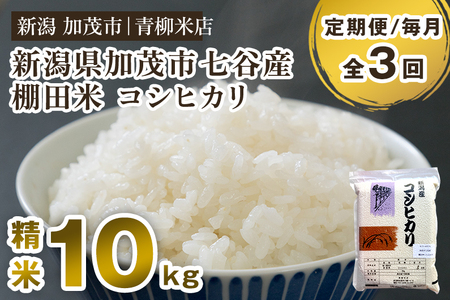 [令和6年産新米][定期便3回毎月お届け]新潟産コシヒカリ 加茂市七谷産 棚田米 精米10kg(5kg×2)白米 真空パック 青柳米店 定期便 定期購入 定期 新潟県産コシヒカリ 米 お米