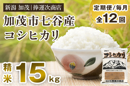 【令和6年産米】【定期便12ヶ月毎月お届け】七谷産コシヒカリ 精米15kg（5kg×3）白米 捧運次商店