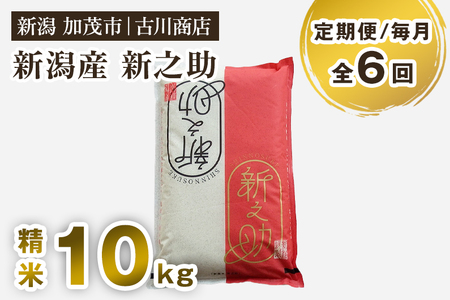 【令和7年産】【定期便6ヶ月毎月お届け】新潟の新ブランド米「新之助」精米10kg 《順次発送》 白米 大粒 加茂市 お米の専門店 古川商店
