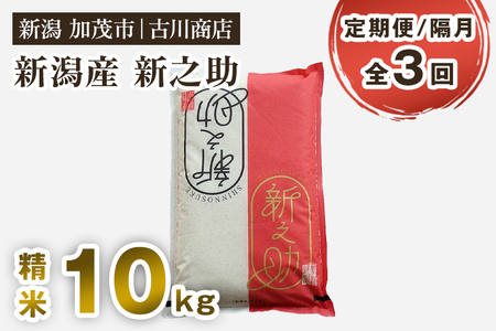 【令和7年産】【定期便3回隔月お届け】新潟の新ブランド米「新之助」精米10kg 《順次発送》 白米 大粒 加茂市 お米の専門店 古川商店