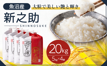 ߘa7NY Y VV 20kg(5kg×4)   R