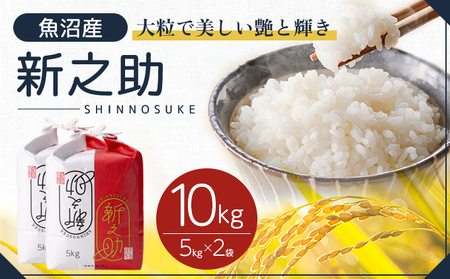 ߘa7NY Y VV 10kg(5kg×2)   R