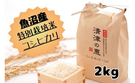 [令和5年産]魚沼産特別栽培米コシヒカリ[清津の恵]精米2kg(1kgx2袋)