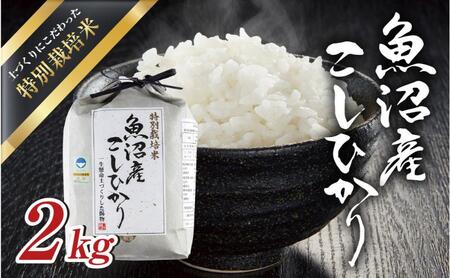 令和6年産新米 魚沼産 コシヒカリ 特別栽培米 2kg 米 こしひかり お米 コメ 新潟 魚沼 魚沼産 白米 送料無料 新潟県産 精米 産直 産地直送 契約農家 お取り寄せ 魚沼三昧 川治米店 新潟県 十日町市