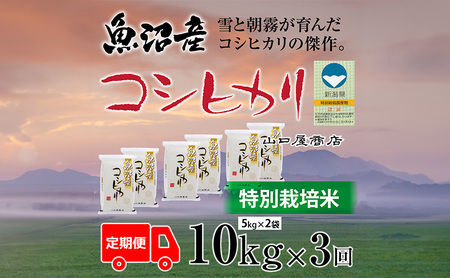  S3 ʍ͔| YRVqJ 5kg×2  R