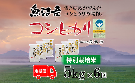  S6 ʍ͔| YRVqJ 5kg  R