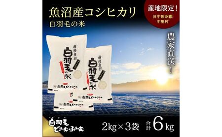 yʔNtzߘa7NY _ƒIYRVqJuHт̕āv (2kg×3) 6kg   