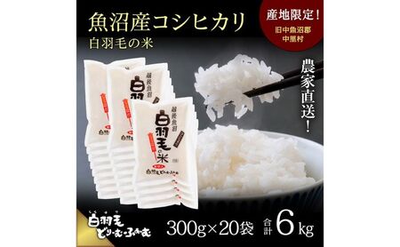 yʔNtzߘa7NY _ƒIYRVqJuHт̕āv (300g×20) 6kg   