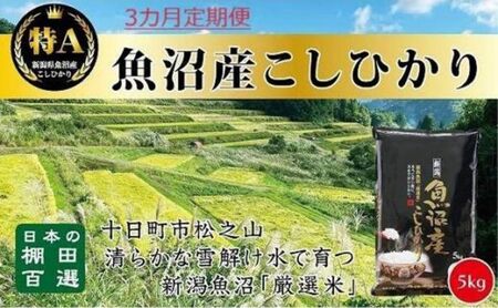 「3カ月定期便」日本棚田百選のお米 天空の里・魚沼産こしひかり 5kg×3回