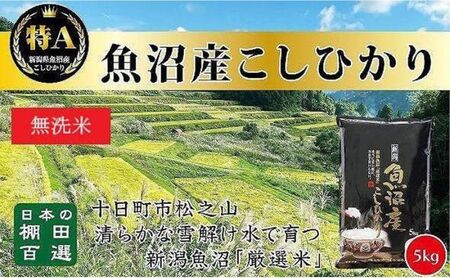 日本棚田百選のお米[無洗米]天空の里・魚沼産こしひかり 5kg×1