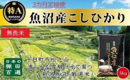 無洗米「3カ月定期便」日本棚田百選のお米 天空の里・魚沼産こしひかり 5kg×3回