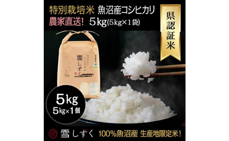 令和6年産!県認証特別栽培魚沼産コシヒカリ[農家直送!] 5kg×1袋