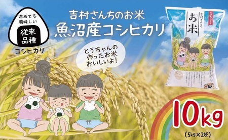 b]ib Y RVqJ 5kg ×2 v10kg  Ђ  R V  Y   VY  Y _ƒ  g񂿂̂ V \s `