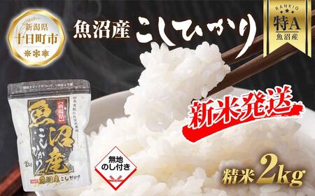 [令和6年産 新米予約] 無地熨斗 魚沼産 コシヒカリ 2kg 精米 農家のこだわり 新潟県 十日町市 お米 こめ 白米 コメ 食品 人気 おすすめ 送料無料