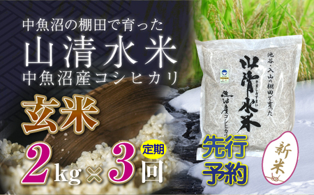 [新米先行受付][定期便/全3回]玄米2kg 新潟県魚沼産コシヒカリ「山清水米」