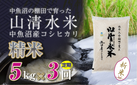 �y����ց^�S3��z����5kg �V���������Y�R�V�q�J���u�R�����āv