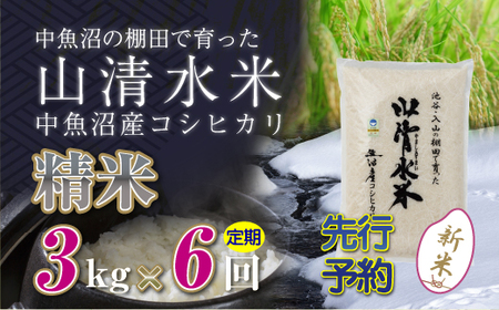 【令和8年産 先行予約】【定期便／全6回】精米3kg 新潟県魚沼産コシヒカリ「山清水米」