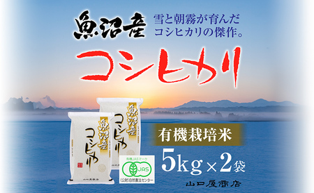 yI\炿zgL@͔|āh YRVqJ 5kg×2 