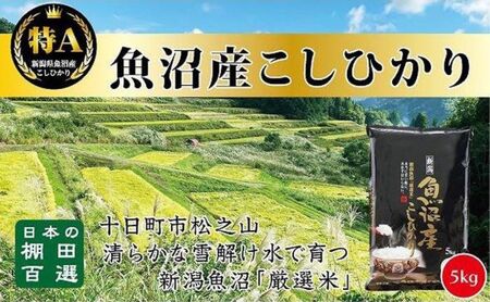 [令和7年産新米予約][食味鑑定士厳選]日本棚田百選のお米 天空の里 魚沼産 こしひかり 5kg