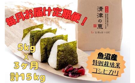 [通年受付]魚沼産特別栽培米コシヒカリ[清津の恵]精米5kg 全3回 十日町市 十日町 米