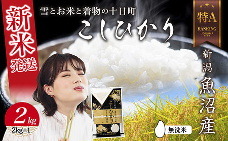 無洗米 令和6年産 新潟県 魚沼産 コシヒカリ お米 2kg 精米済み お米 こめ 白米 新米 こしひかり 送料無料 魚沼 十日町