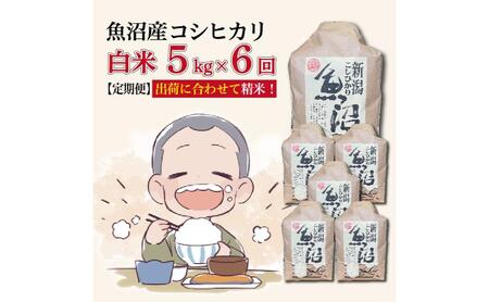 �y6�J������ցz�ߘa�V�N�Y�V�� �����Y�R�V�q�J�� ���� 5kg×6�� �v30kg