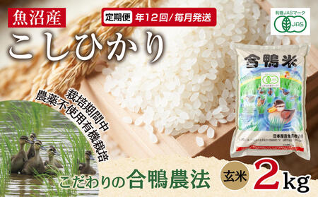 定期便 年12回 毎月 魚沼産 コシヒカリ 2kg あいがも農法 有機栽培米 玄米 米 お米ご飯 胚芽 合鴨 ごんべい こしひかり 特A 人気 安全 お取り寄せ 送料無料 新潟県 十日町市