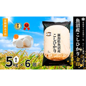 [定期便]魚沼産コシヒカリ金印(精米)5kg 全6回 米 お米 こしひかり 精米 中魚沼 定期 新潟県 十日町市