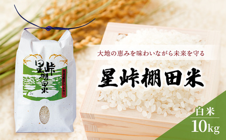 【令和8年産 先行予約】大地の恵みを味わいながら未来を守る「星峠棚田米」 10kg（白米）越後まつだい 魚沼産コシヒカリ