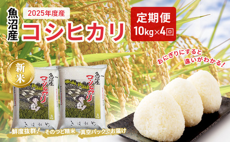 YRVqJ10kg(5kg×2)×4(u)