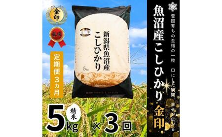 �y����֑S3�񖈌������z�����Y�R�V�q�J������(����)5kg �� �����Ђ��� ��� �V�� �\�����s