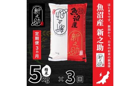 [定期便全3回毎月発送]魚沼産新之助(精米) 5kg 米 定期 新潟 魚沼市