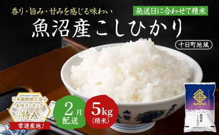 [令和7年産米]魚沼産こしひかり(十日町地域)5kg 2月配送 お米 精米 こめ ご飯 白米 旧:五郎兵衛