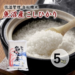 魚沼産コシヒカリ 厳選 低温管理 自社精米 5kg 新潟 こしひかり