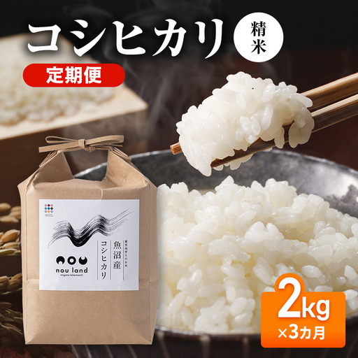 [先行予約]令和8年産 定期便 コシヒカリ精米2kg×3カ月