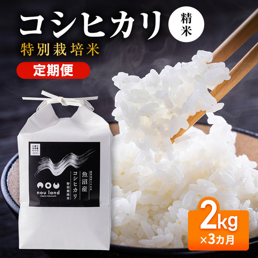 [先行予約]令和8年産 定期便 コシヒカリ特別栽培 精米 2kg×3カ月