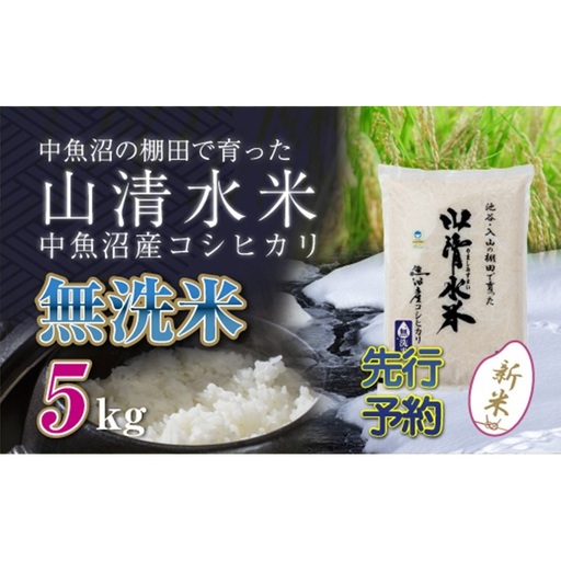 【令和8年産 先行予約】新潟県魚沼産コシヒカリ「山清水米」無洗米5kg