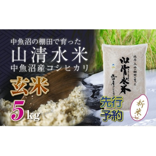 【令和8年産 先行予約】新潟県魚沼産コシヒカリ「山清水米」玄米5kg