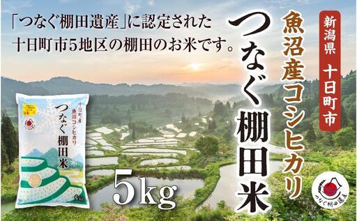 【令和8年産 先行予約】精米5kg　産新潟県十日町市魚沼産コシヒカリ「つなぐ棚田米」 米 こしひかり 精米 十日町市