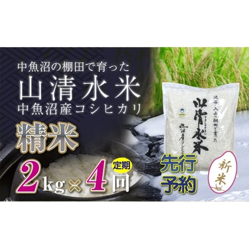 【令和8年産 先行予約】【定期便／全4回】精米2kg 新潟県魚沼産コシヒカリ「山清水米」 お米