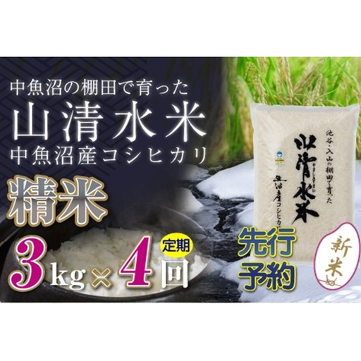 【令和8年産 先行予約】【定期便／全4回】精米3kg 新潟県魚沼産コシヒカリ「山清水米」 お米