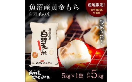 [通年受付]≪令和5年産≫ 農家直送!魚沼産黄金もち「白羽毛の米」精米(5kg×1袋) 5kg