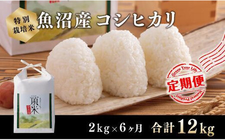 6カ月定期便[特別栽培米]頂米金兵衛 魚沼産コシヒカリ(精米)2kg