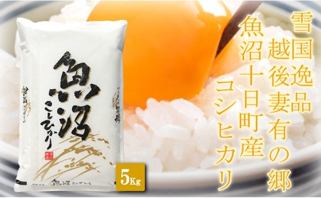 [雪国逸品5kg] 越後妻有の郷 魚沼十日町産コシヒカリ お米 白米 ご飯 産地直送 ミネラル 栄養分 こだわり 人気 新鮮