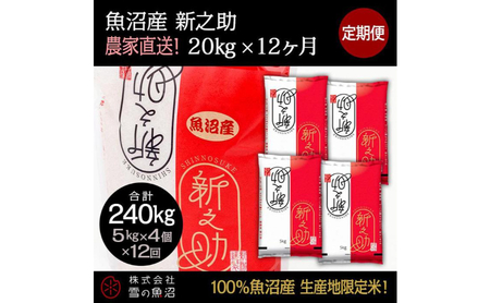 yߘa7NYzցIY VVyv240kgz20kg×12    R
