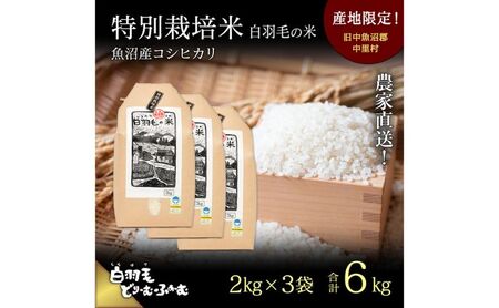 yʔNtzߘa7NY _ƒIYRVqJʍ͔|uHт̕āv (2kg×3) 6kg   