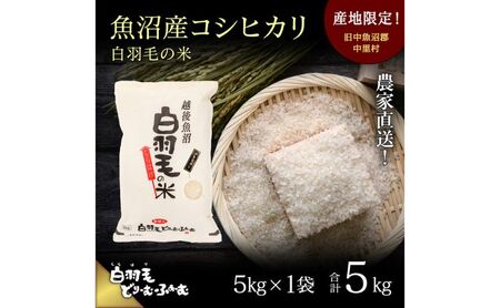 【通年受付】≪令和5年産≫　農家直送！魚沼産コシヒカリ「白羽毛の米」精米 (5kg×1袋) 5kg